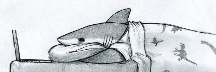 saesherrr's profile banner image