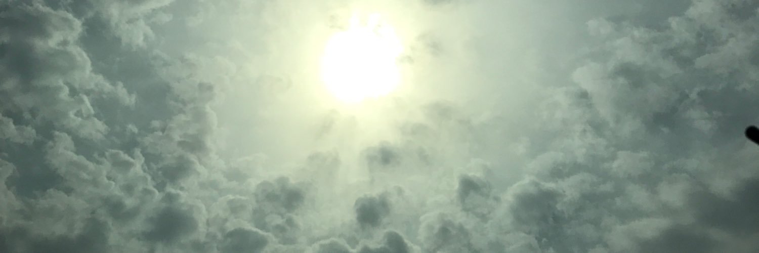 ROSE 🌱 banner