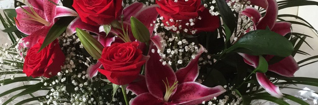 Naz_Faulkner's profile banner image
