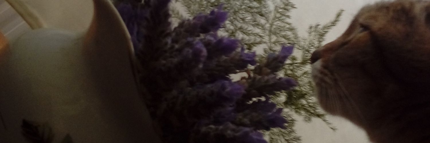 Kissnil's profile banner image