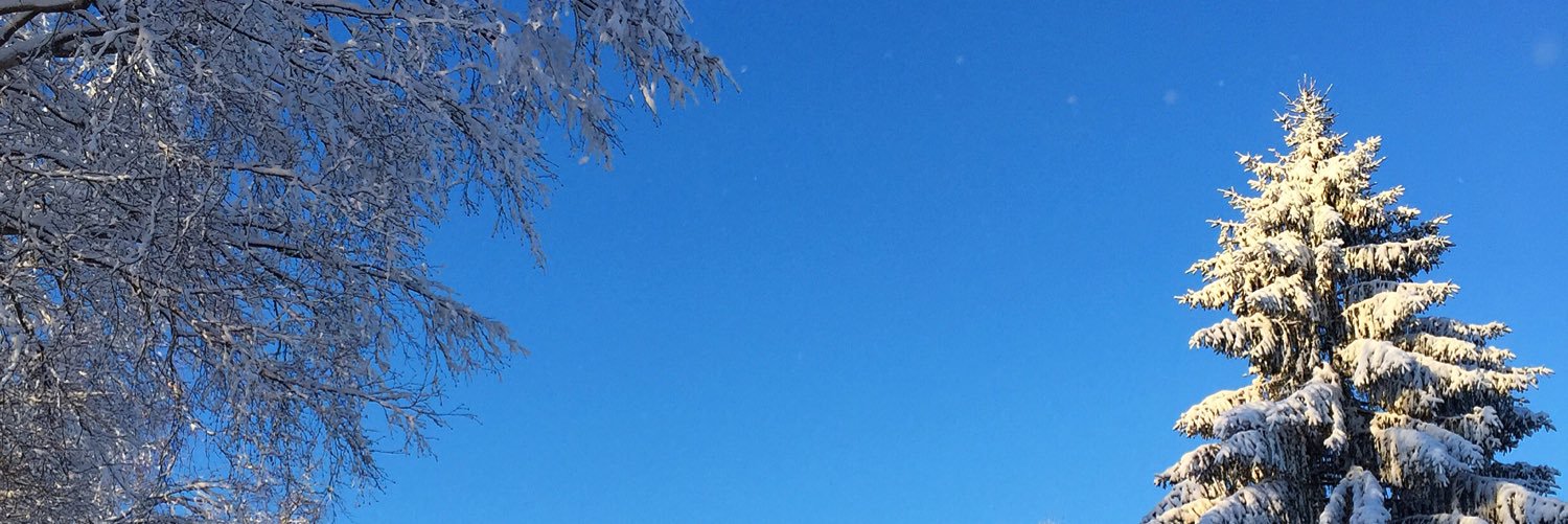 Claranils's profile banner image