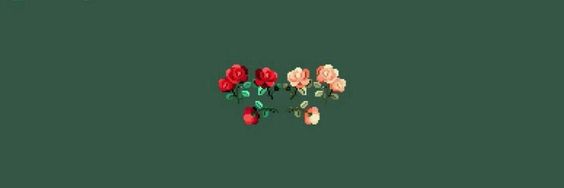 MissPerkins89's profile banner image