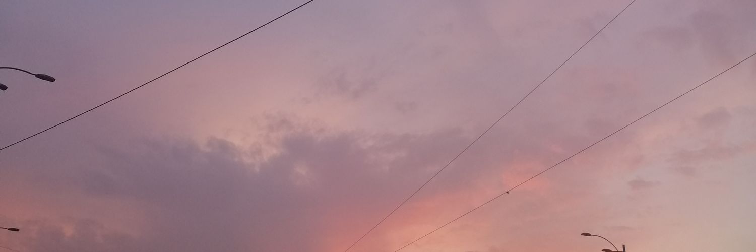 sheva_twt's profile banner image