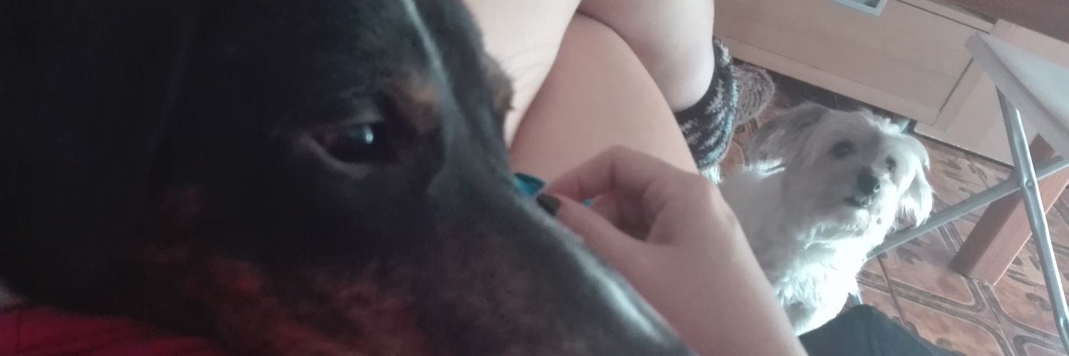 pequecrb's profile banner image