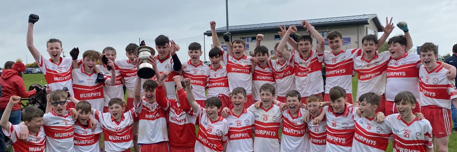 Kilanerin- Ballyfad GAA Club banner