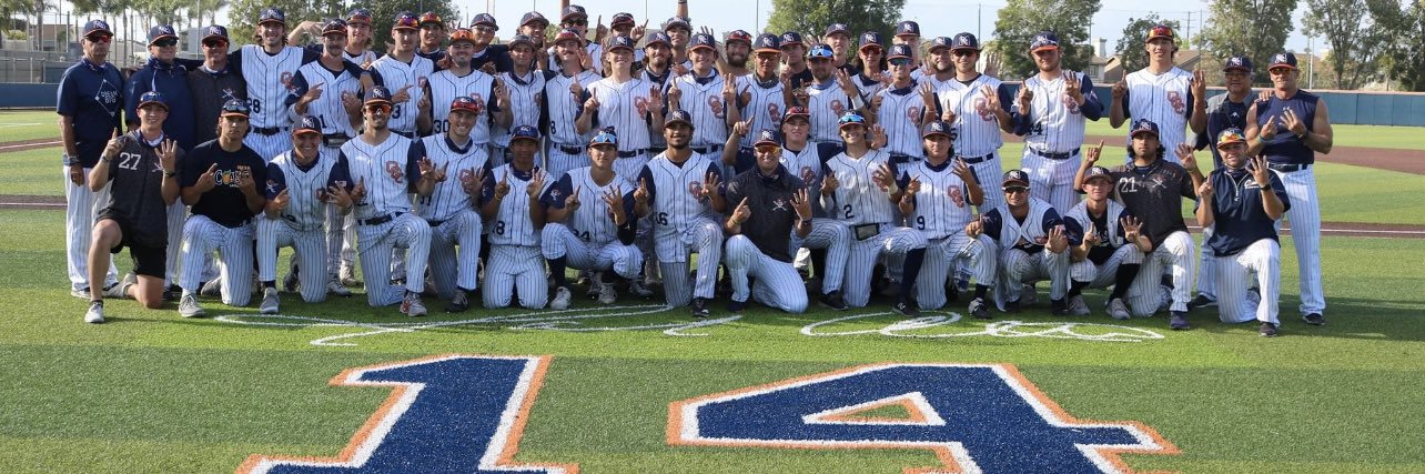 Michael Ryhlick banner