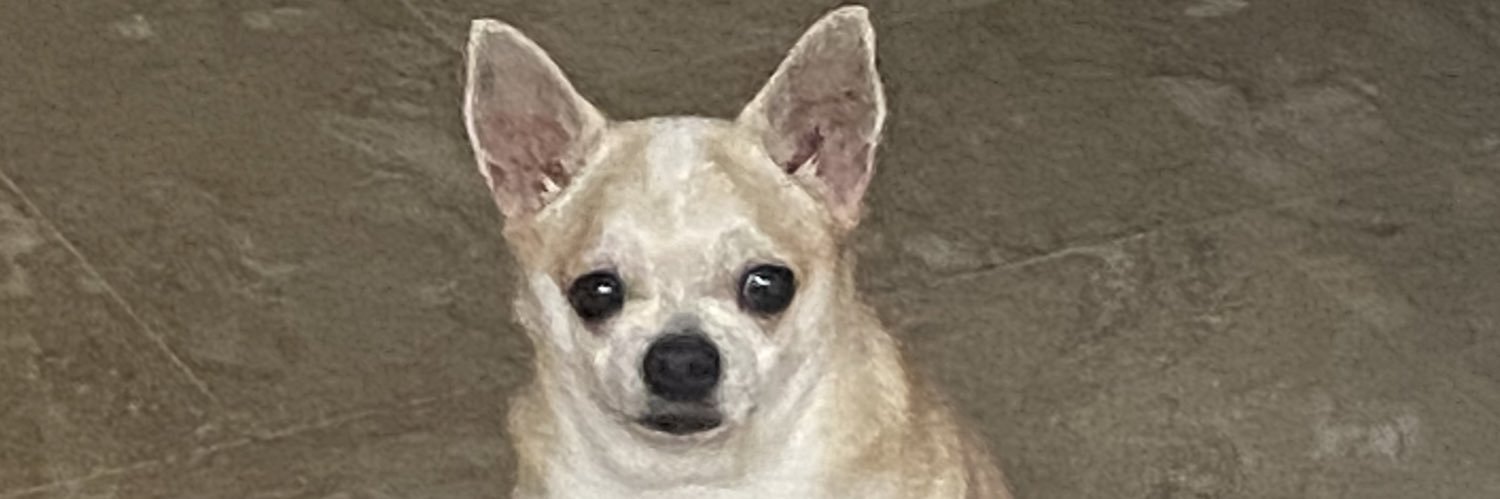 beaagomezz's profile banner image