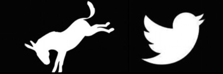 🫏 الحمار banner