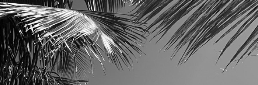 Bever banner