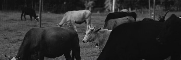 DEVMACCC Profile Banner