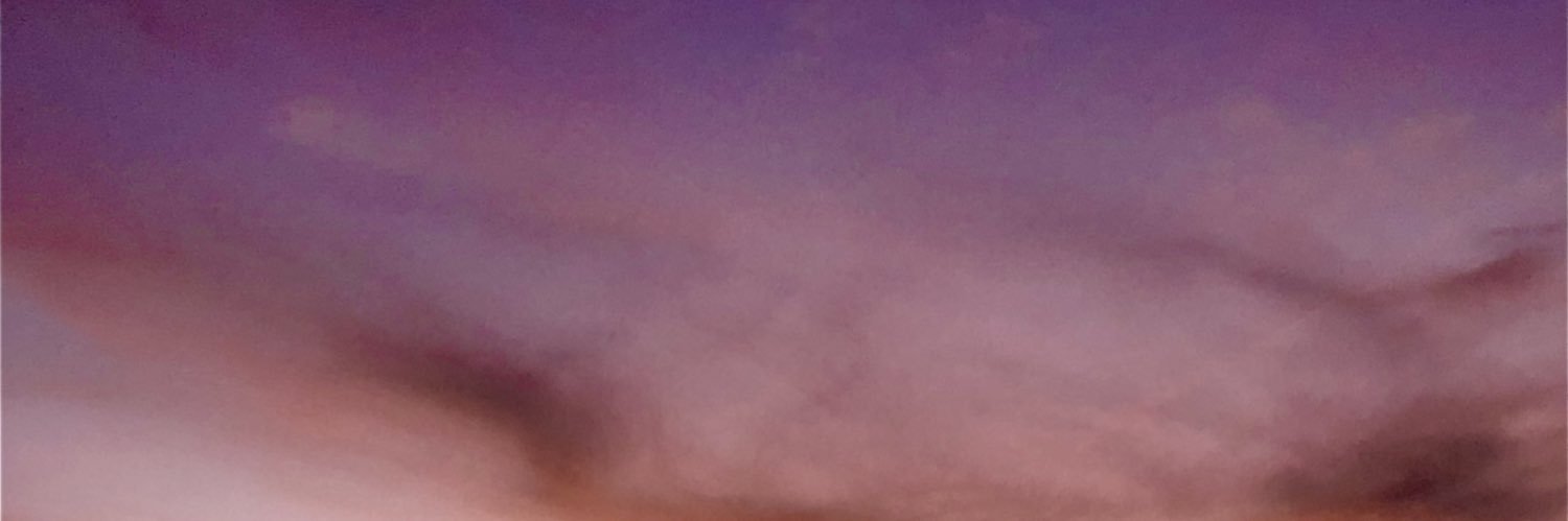sarapcabral's profile banner image
