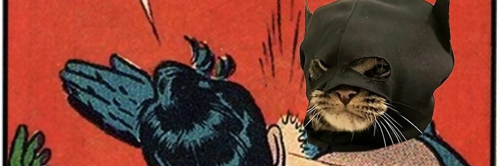 hassinomail's profile banner image
