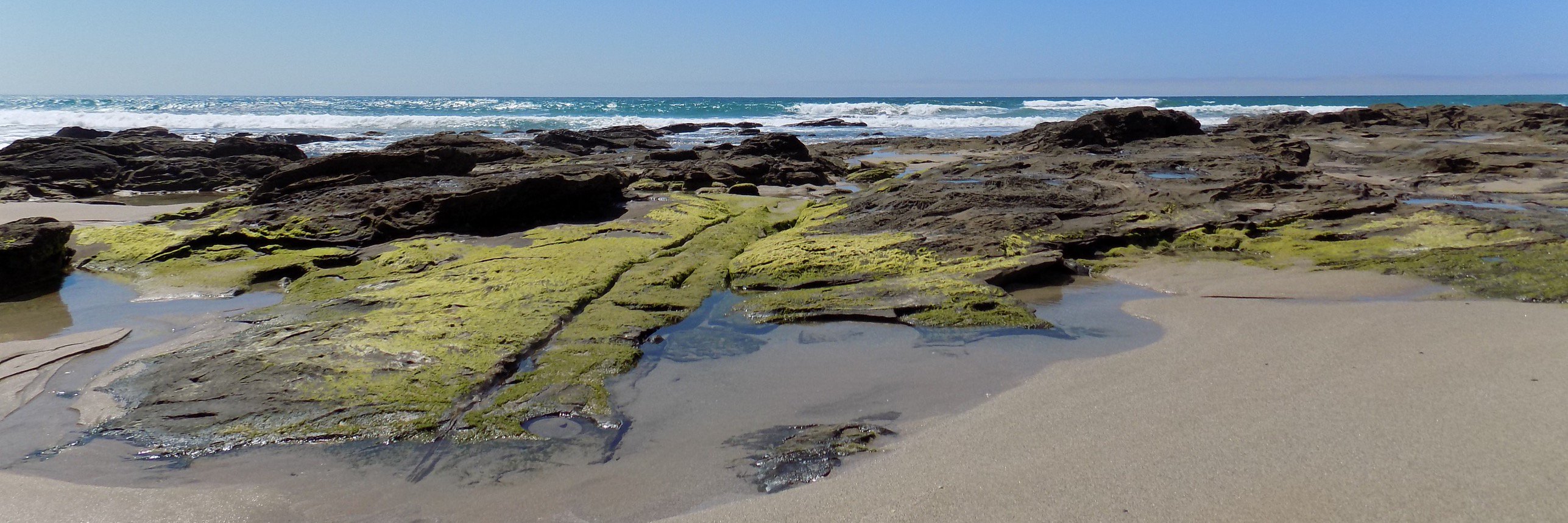 Boryana 🏳️‍🌈 banner