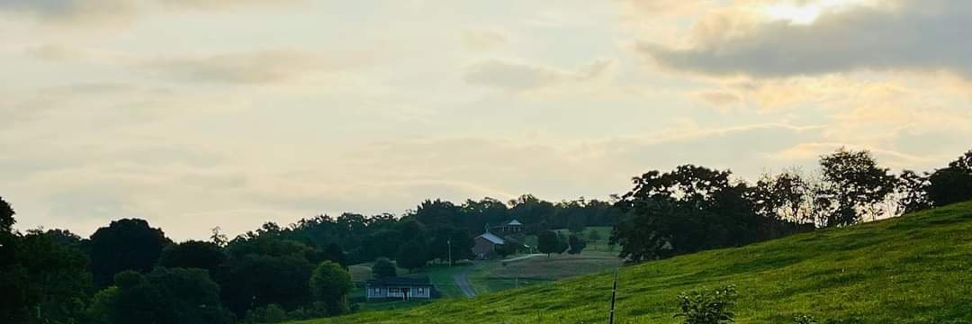 ginn_ira's profile banner image