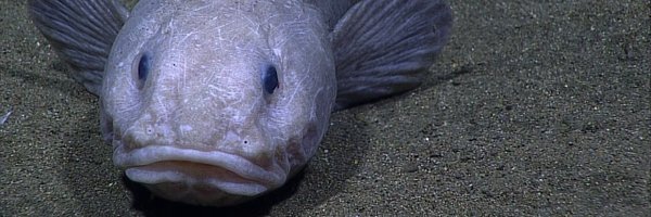 innerspacectr Profile Banner