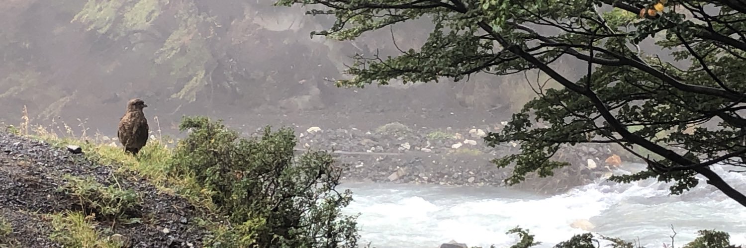 Ximeniando's profile banner image