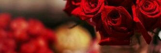 lolyjj803's profile banner image
