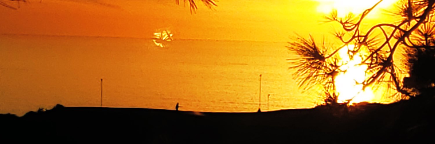 JRLynn5's profile banner image