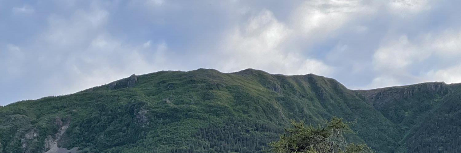 David_Carrier's profile banner image