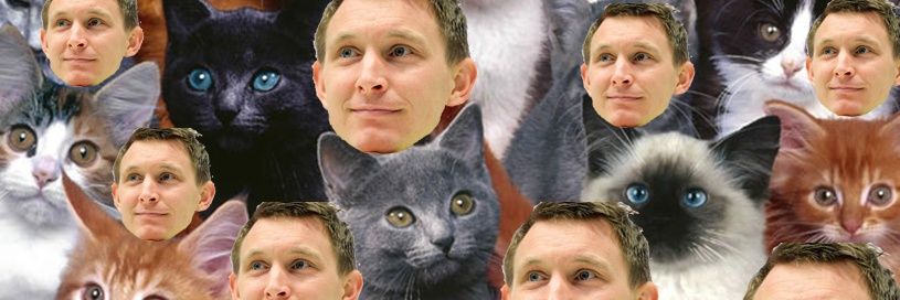 snapkatt's profile banner image