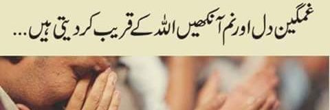 M ANees banner