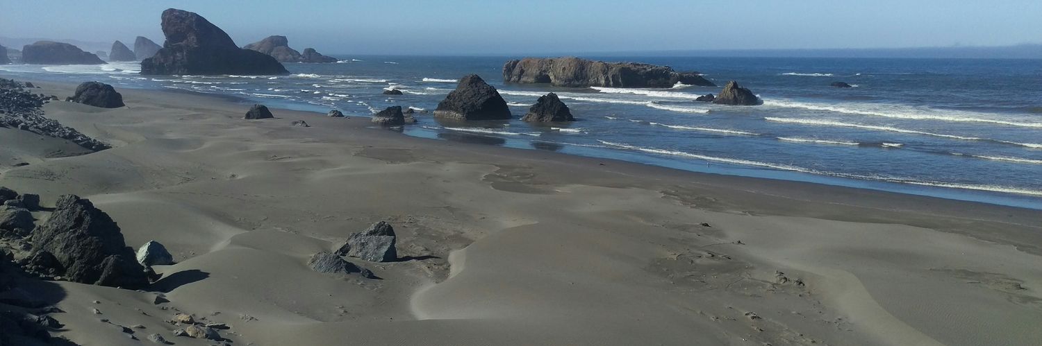 Christine Horton banner