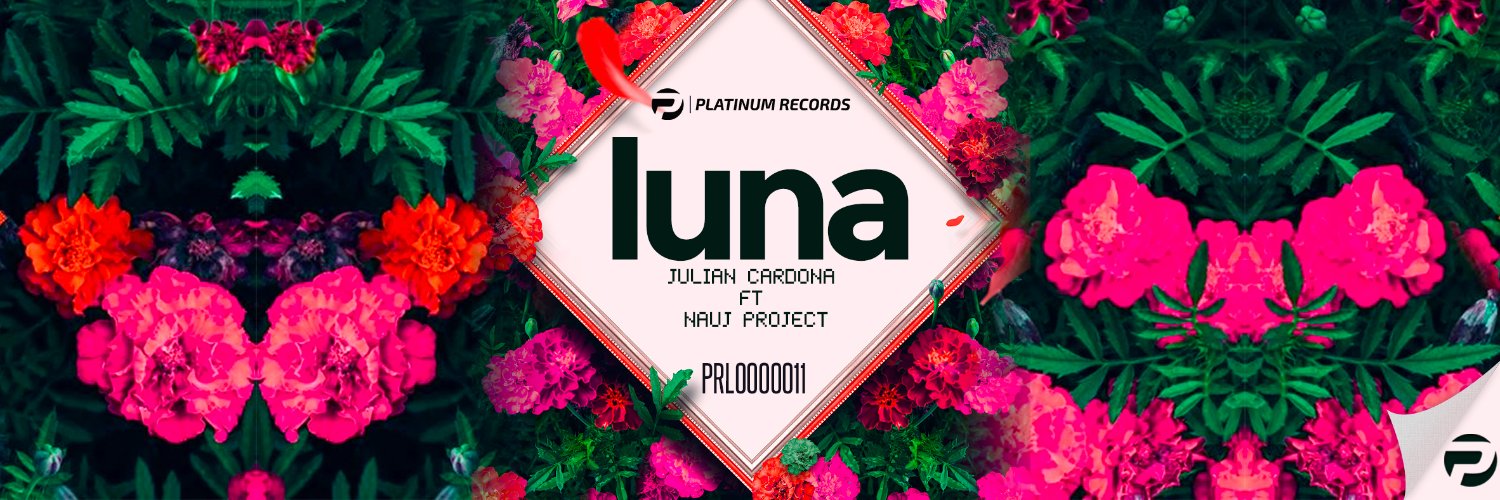 Platinum Records banner
