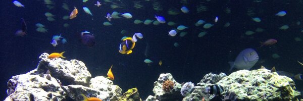 PrettyDimples81 Profile Banner