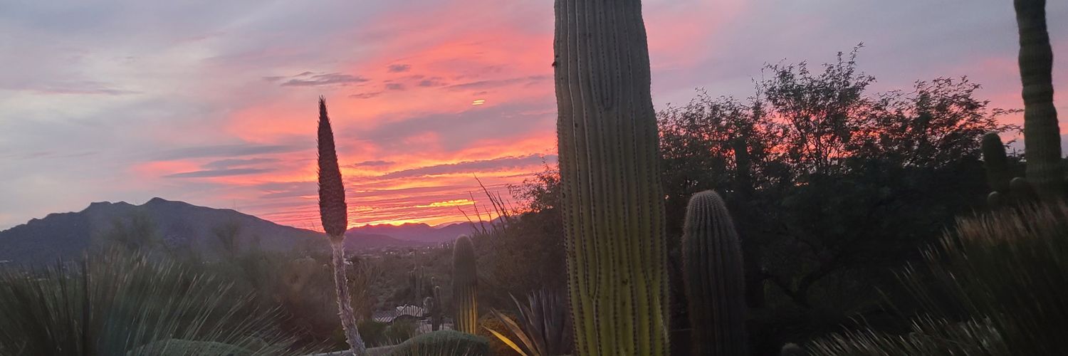 Lynnette 🇺🇸🏜 banner