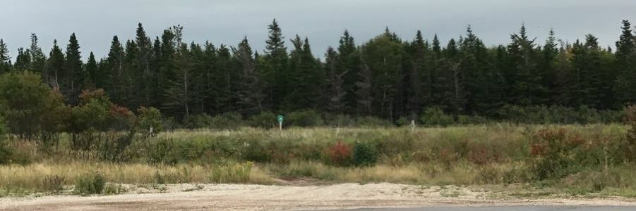rickst3r's profile banner image