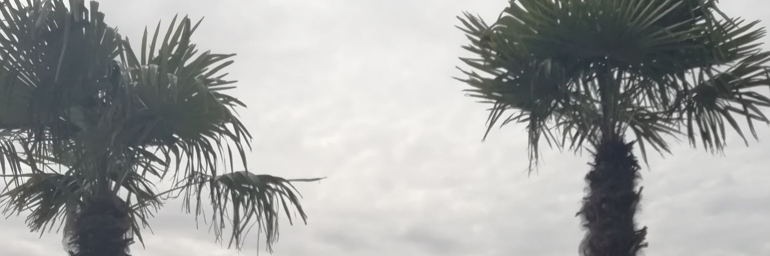 luvmyaris's profile banner image