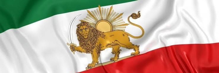 کینگ مُری 🦁☀️ banner