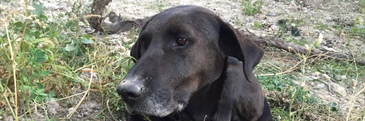 pablo_rs69's profile banner image