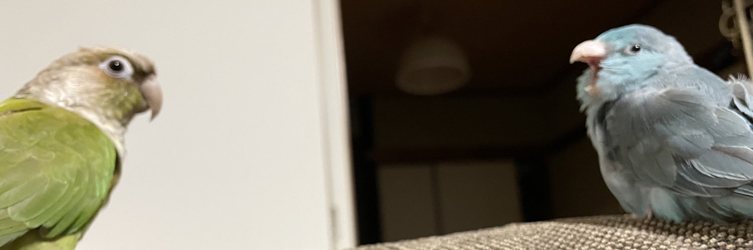 siguron0406's profile banner image