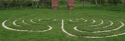 Sue banner