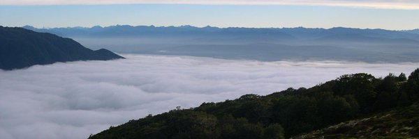 davidfrenchx Profile Banner