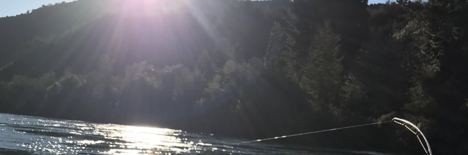benjavivanco's profile banner image