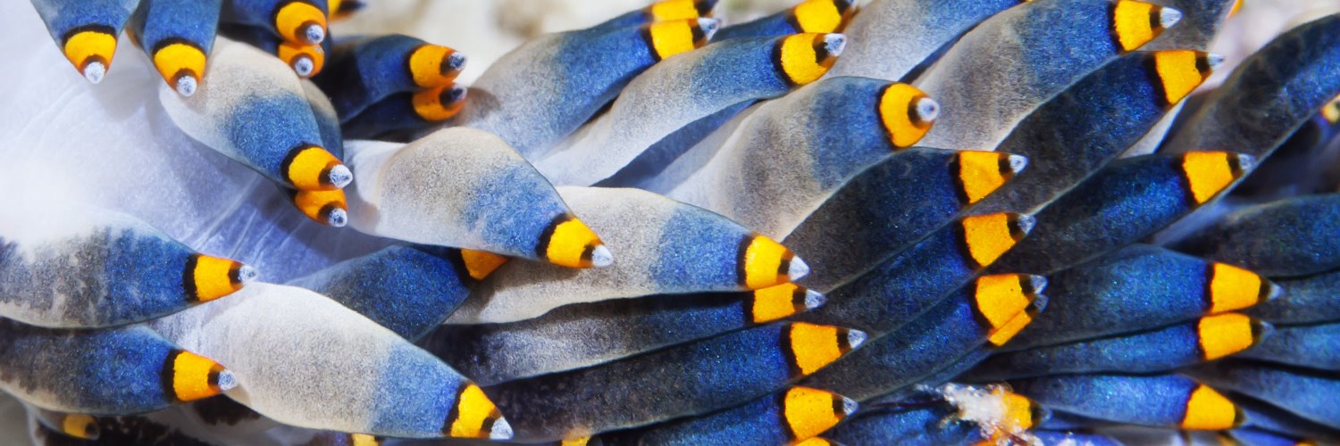 Cayman Chemical banner