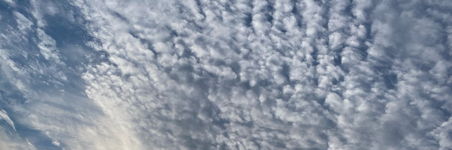 ayladtp's profile banner image