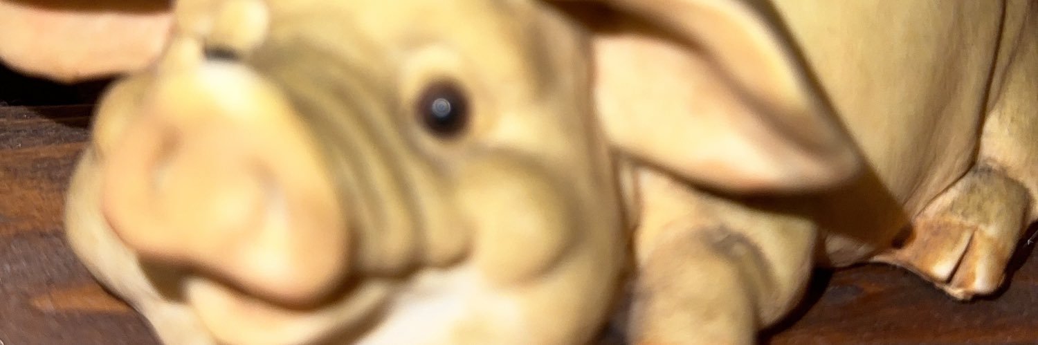 s_dra___BB's profile banner image