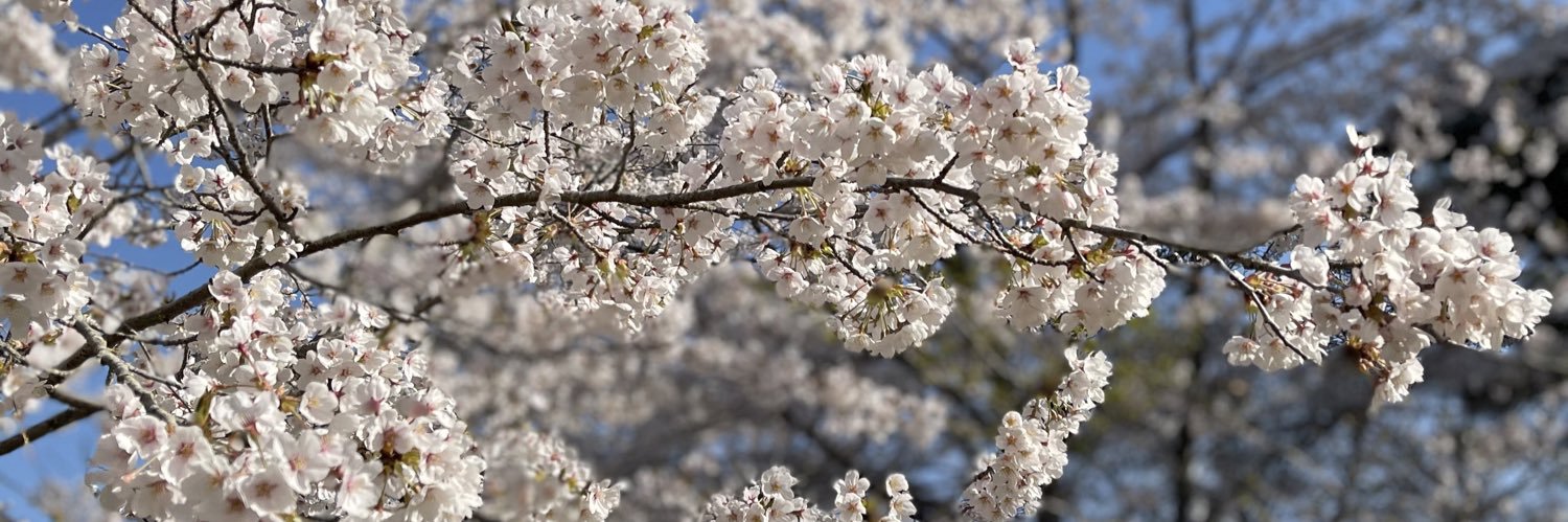 Pretty_Ppanda banner