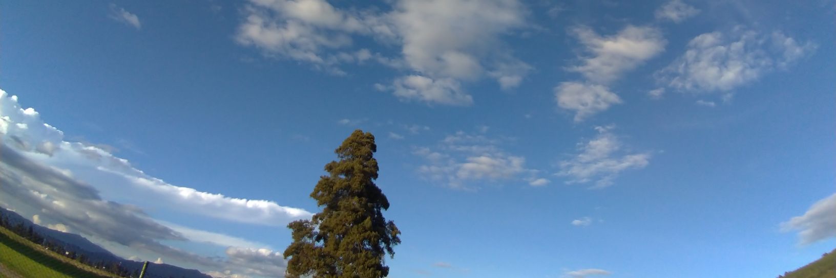 jogureto's profile banner image