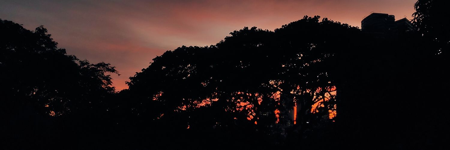 DenyoAlfred's profile banner image