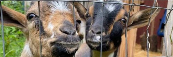 msmacb Profile Banner