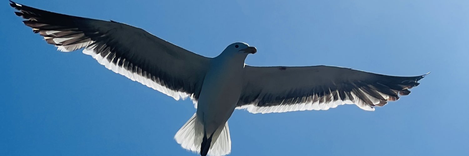 clavohead's profile banner image
