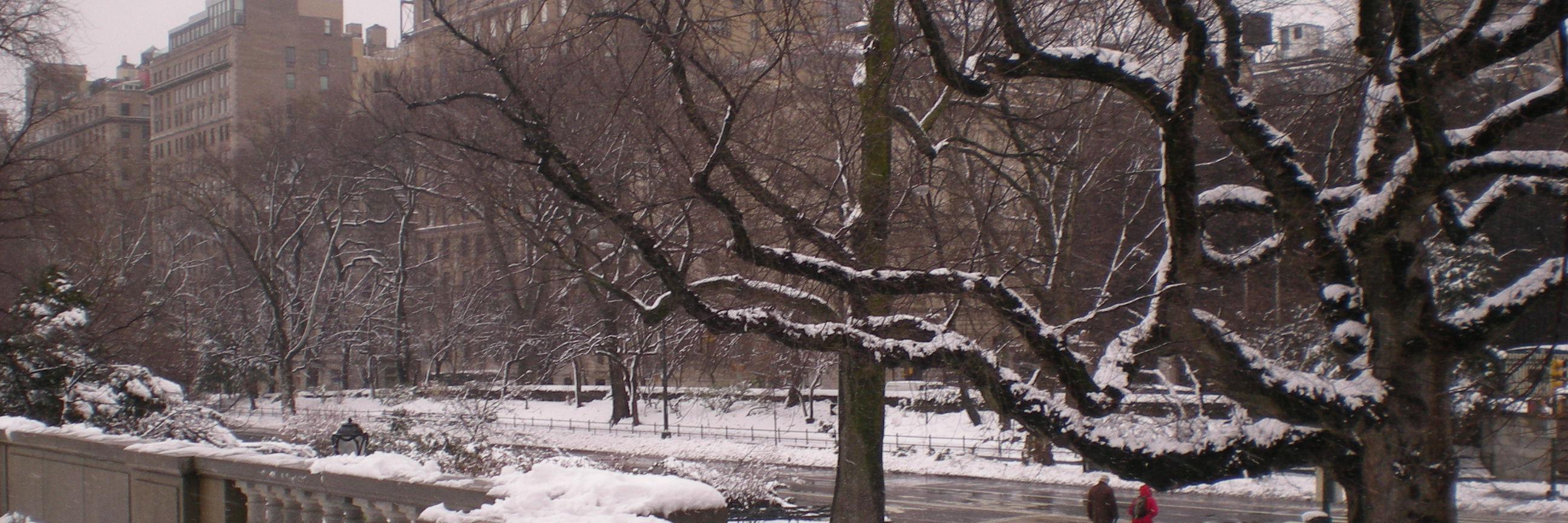 claudiavoena's profile banner image