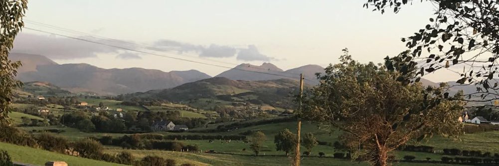 Leanne Steele banner