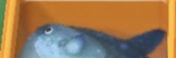 clowntiddey's profile banner image