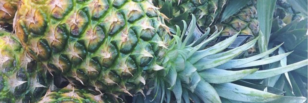 Britani Marie Cruz banner