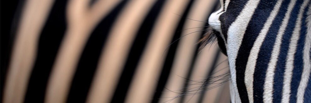 加密入门指南 banner